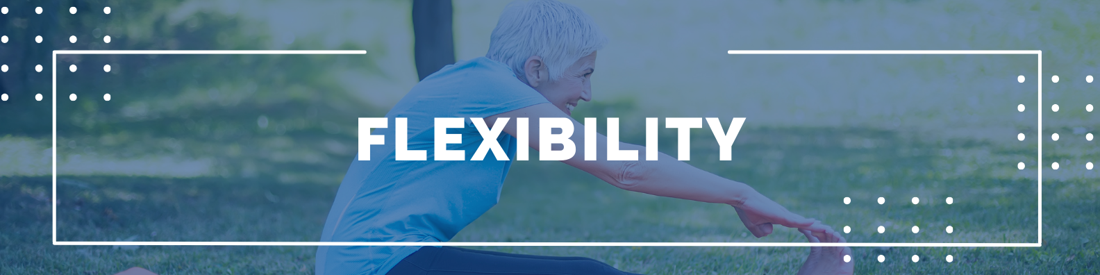 Unit 3: Flexibility Banner